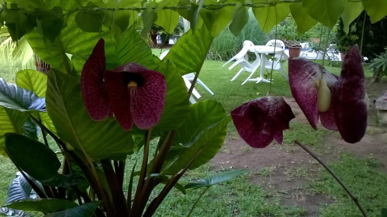 Baha-Ammes Daire Svoronata Dış mekan fotoğraf