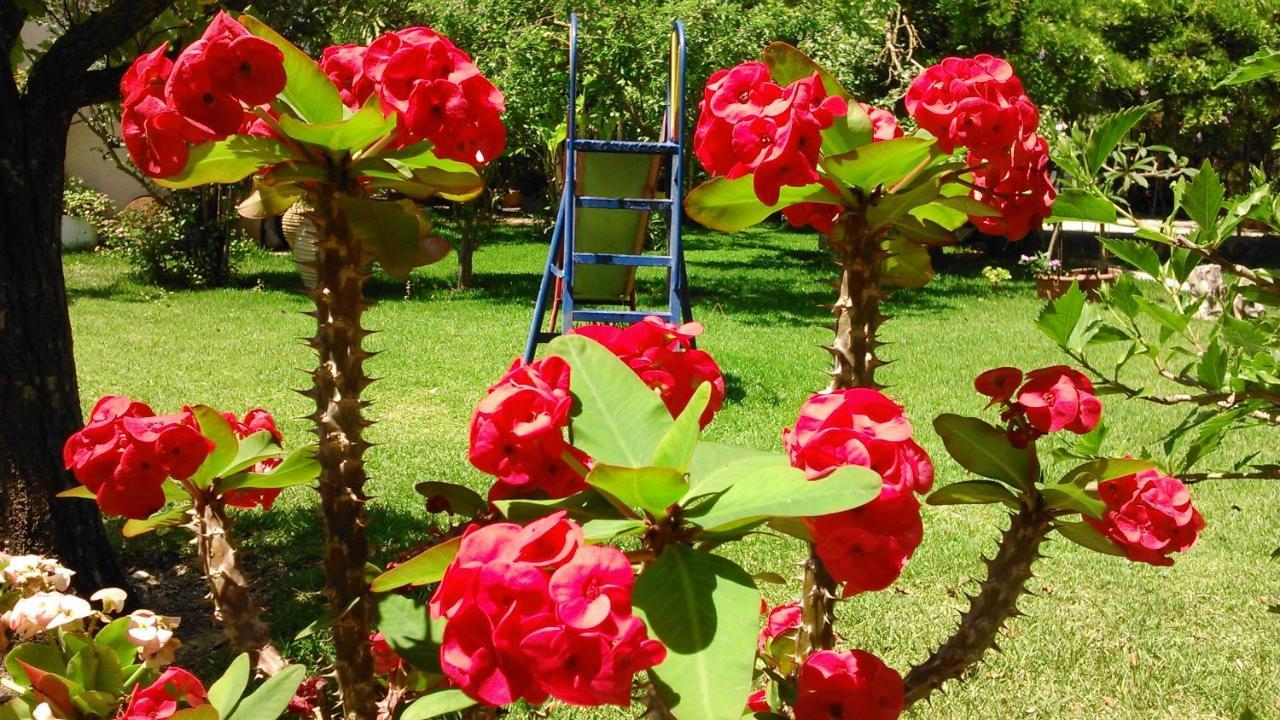 Baha-Ammes Daire Svoronata Dış mekan fotoğraf