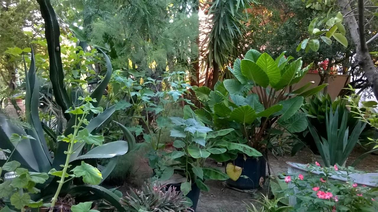 Baha-Ammes Daire Svoronata Dış mekan fotoğraf
